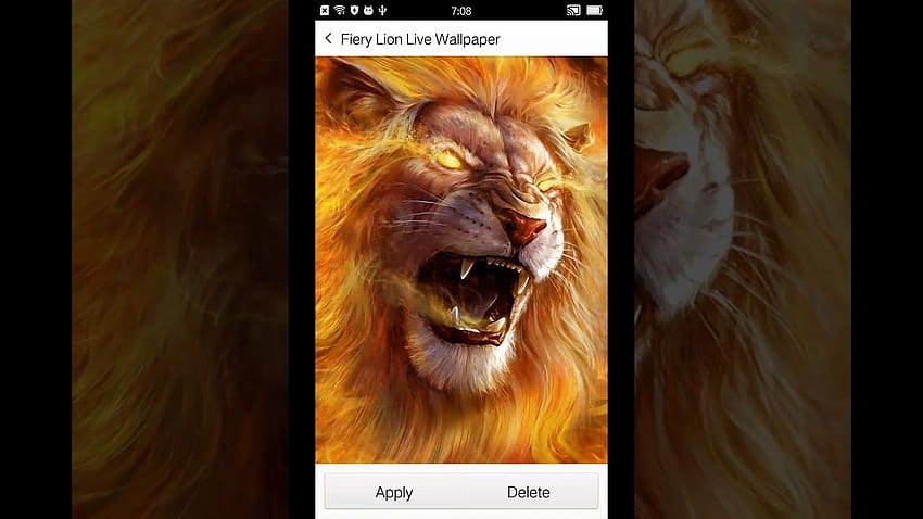 Golden lion live video HD wallpaper | Pxfuel