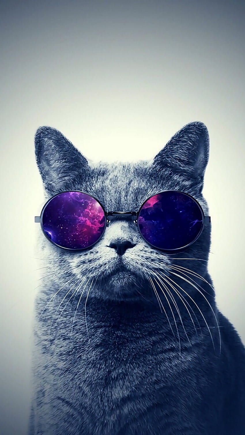 Tomas Alvarez on . Glasses , Hipster , iPhone 6, Swag Cat HD phone wallpaper