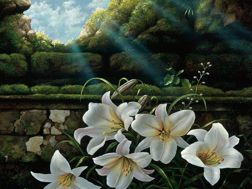 yellow easter lilly betrayal; sprung up when Judas betrayed Jesus. Lilies of the field, Lily painting, Lily HD wallpaper