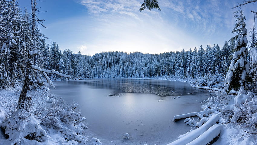 ทะเลสาบอีวานเริ่มปกคลุมในรัฐวอชิงตัน ฤดูหนาว หิมะ ทิวทัศน์ ต้นไม้ น้ำ สหรัฐอเมริกา น้ำแข็ง วอลล์เปเปอร์ HD