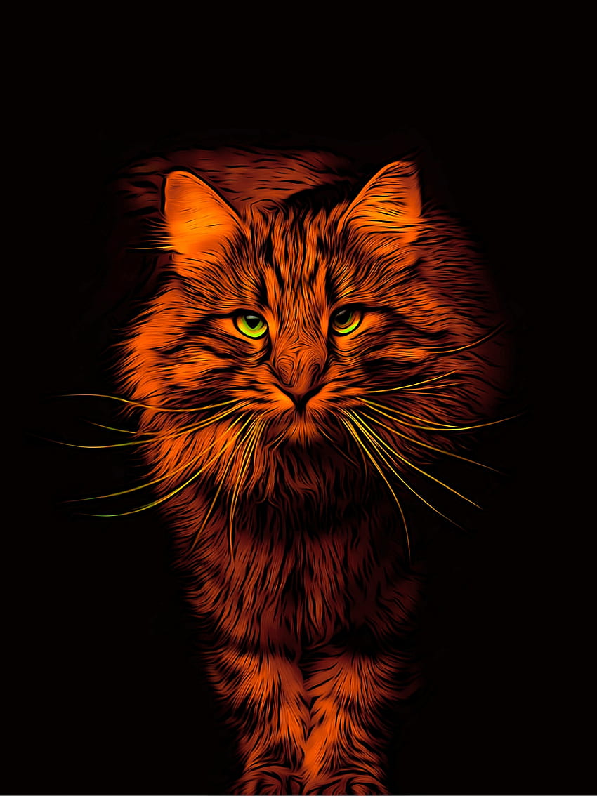 Cat, animal, digital art HD phone wallpaper