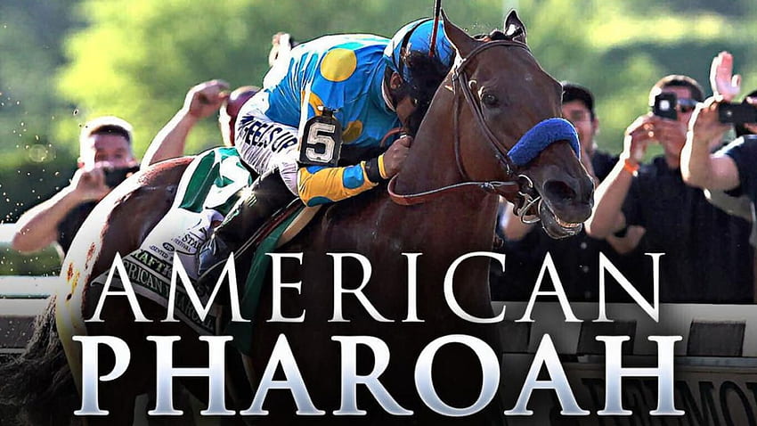 American Pharoah Racing, animal, cavalo, grafia, thorobred, lindo, tela larga, equino, American Pharoah, , puro-sangue papel de parede HD