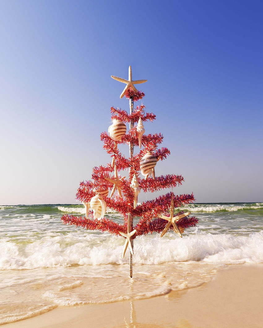 Beach Christmas, Florida Christmas HD phone wallpaper