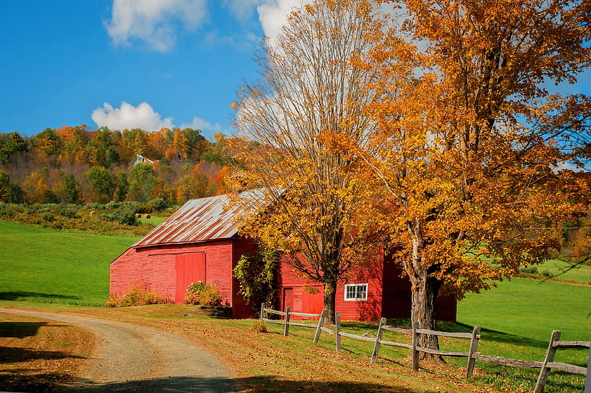 : Lovely Barn Beautiful Grass Sunny Red Fall Hills, Vermont Fall ...