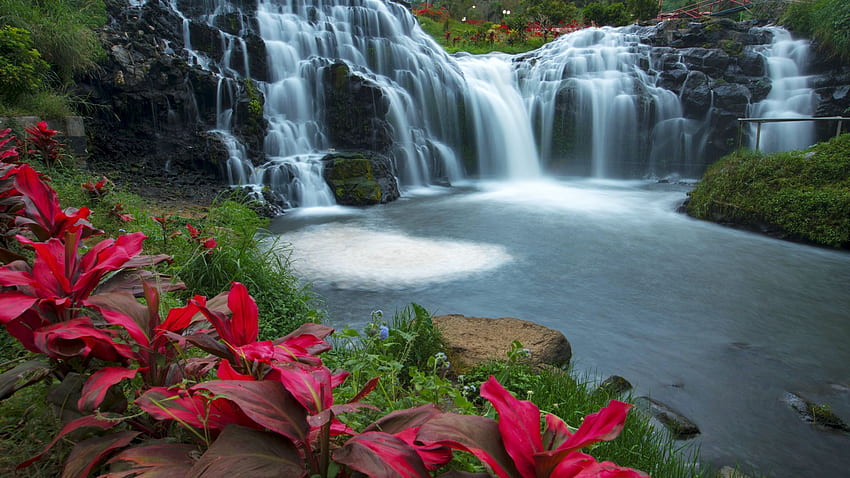 Tropical Waterfall in Thailand, cascades, river, rocks, plants, pond HD wallpaper
