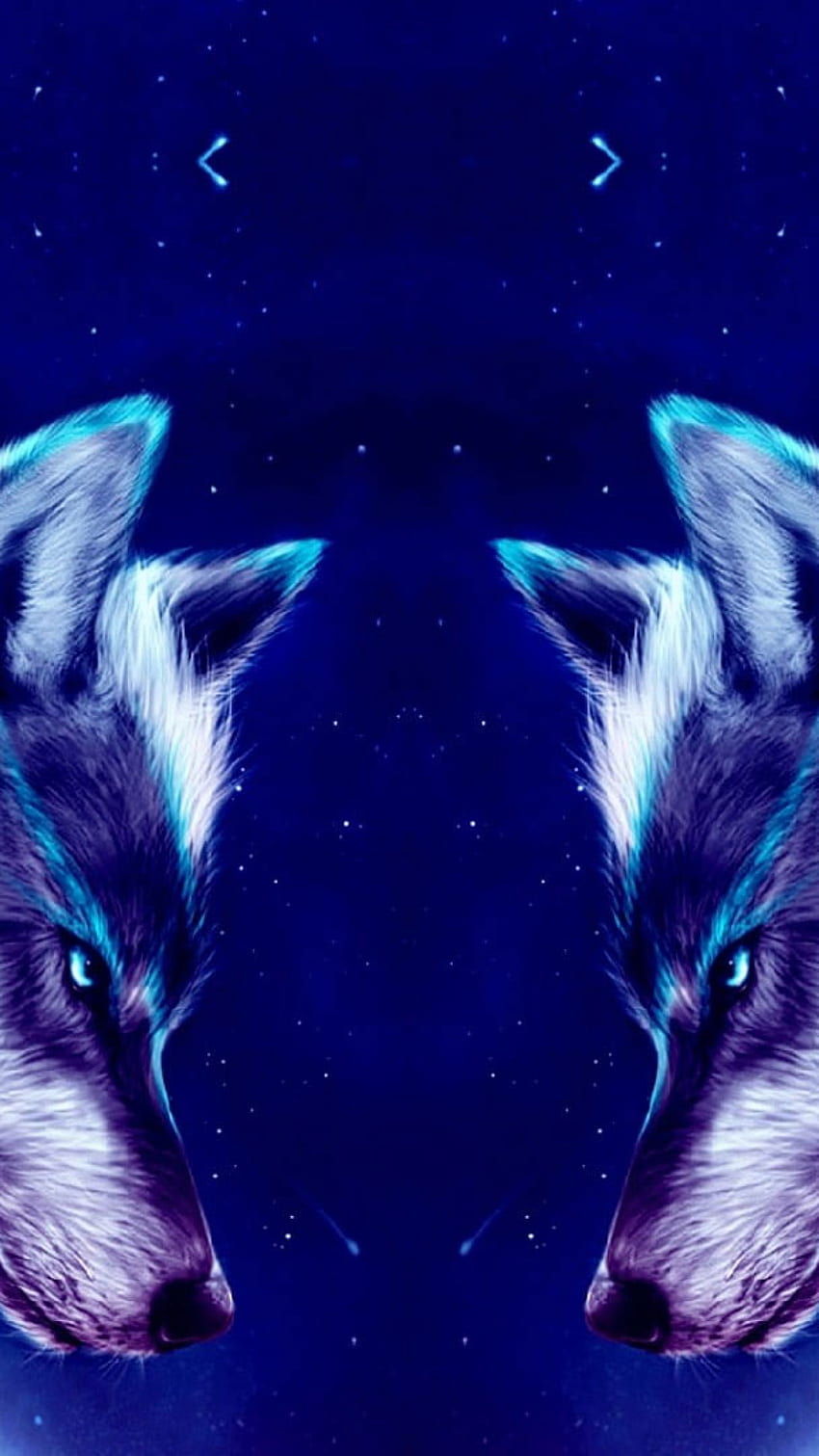 Animals , space, wolf, art, wolves, night, digital art • For You For ...