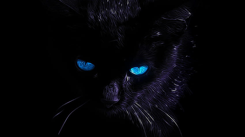 Kucing Mata Biru, Kucing Hitam Estetis Wallpaper HD