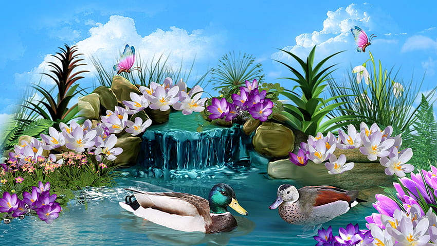 Duck Pond, pond, lake, summer, ducks, flowers, mallards, spring HD wallpaper