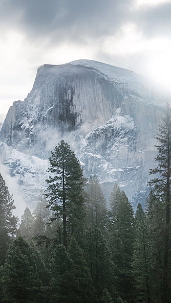 Yosemite Nature IPhone Wallpaper  IPhone Wallpapers  iPhone Wallpapers