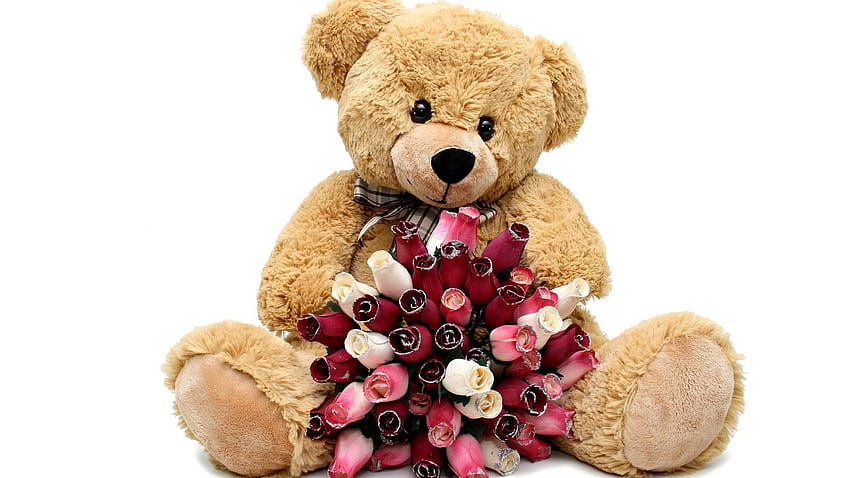 Big Teddy Bear Background . 2020 Cute, Flower Teddy Bear HD wallpaper