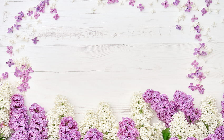 ライラック フレーム、花のフレーム、紫色の春の花、木製の背景、木製のテクスチャ、ライラック、解像度を持つ花のフレーム。 高品質 高画質の壁紙