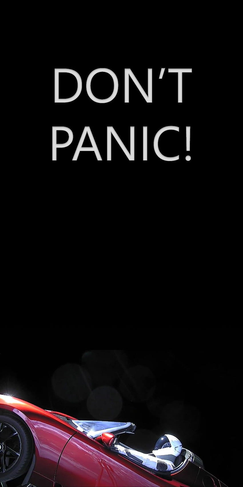 Não entrar em pânico!. Não entre em pânico, entre em pânico Papel de parede de celular HD