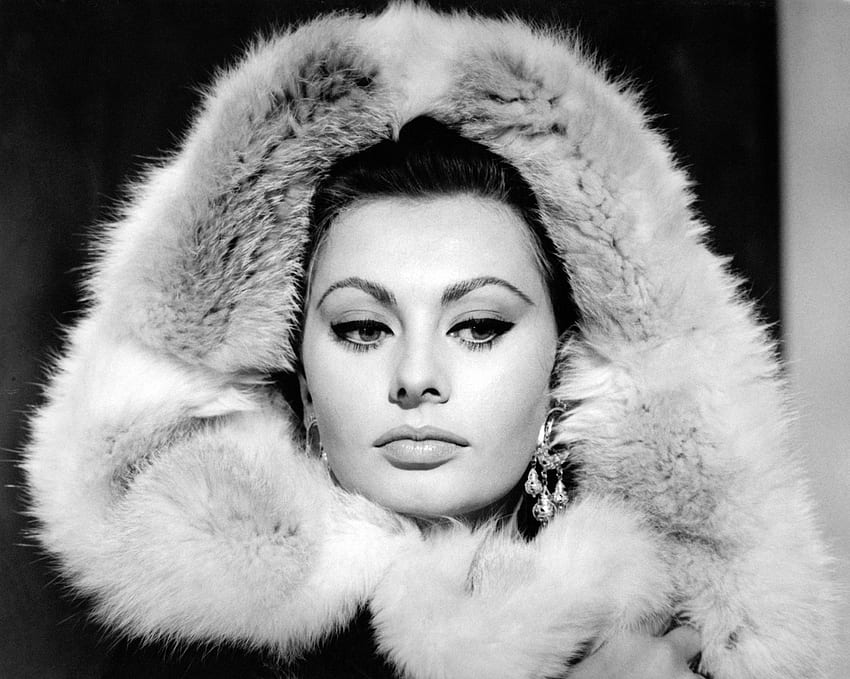 Sophia Loren Hd Wallpaper Pxfuel | The Best Porn Website