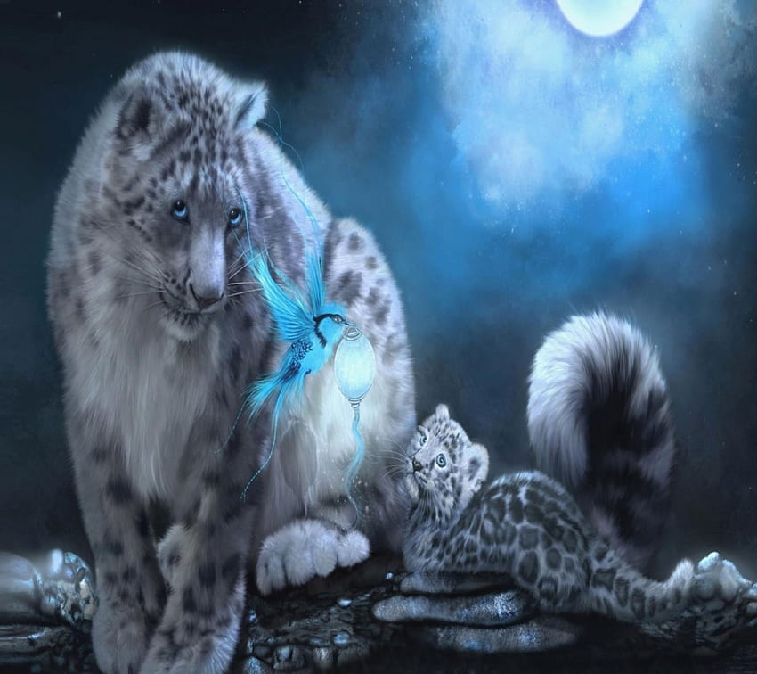 Léopard des neiges, bleu, chat, léopard, lion Fond d'écran HD