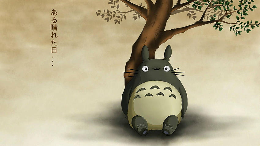 เพื่อนบ้านของฉัน Totoro - Studio Ghibli, Totoro Facebook วอลล์เปเปอร์ HD
