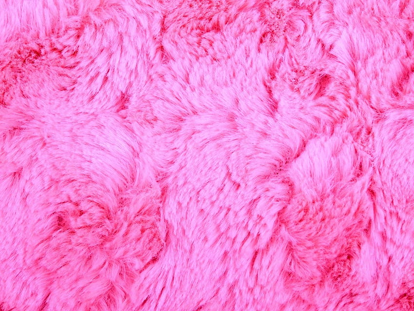 Pink Fur HD wallpaper | Pxfuel