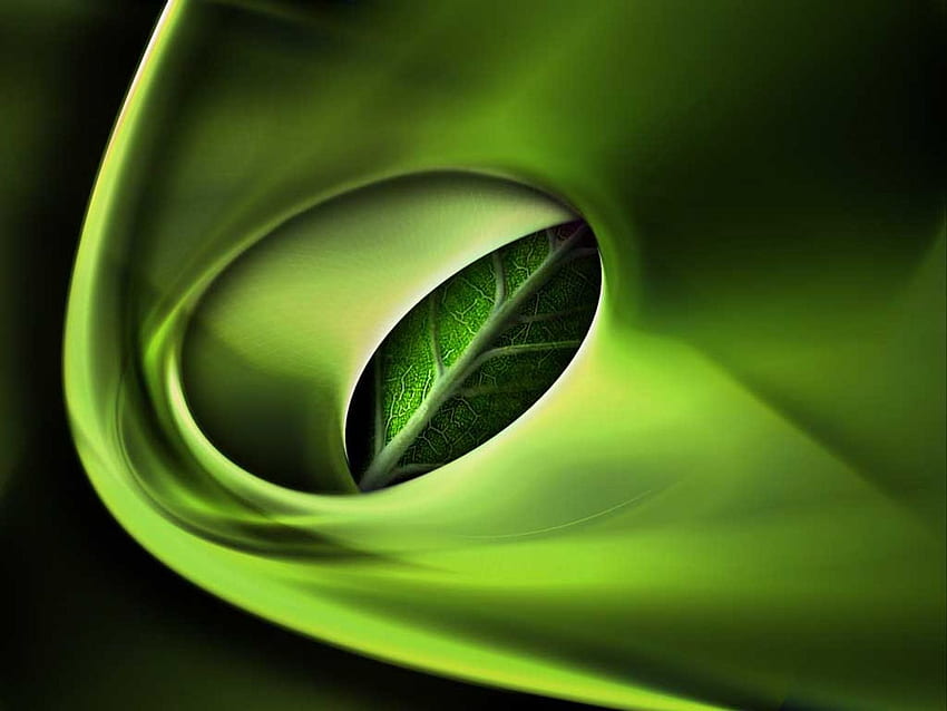 Page 20 | green 3d HD wallpapers | Pxfuel