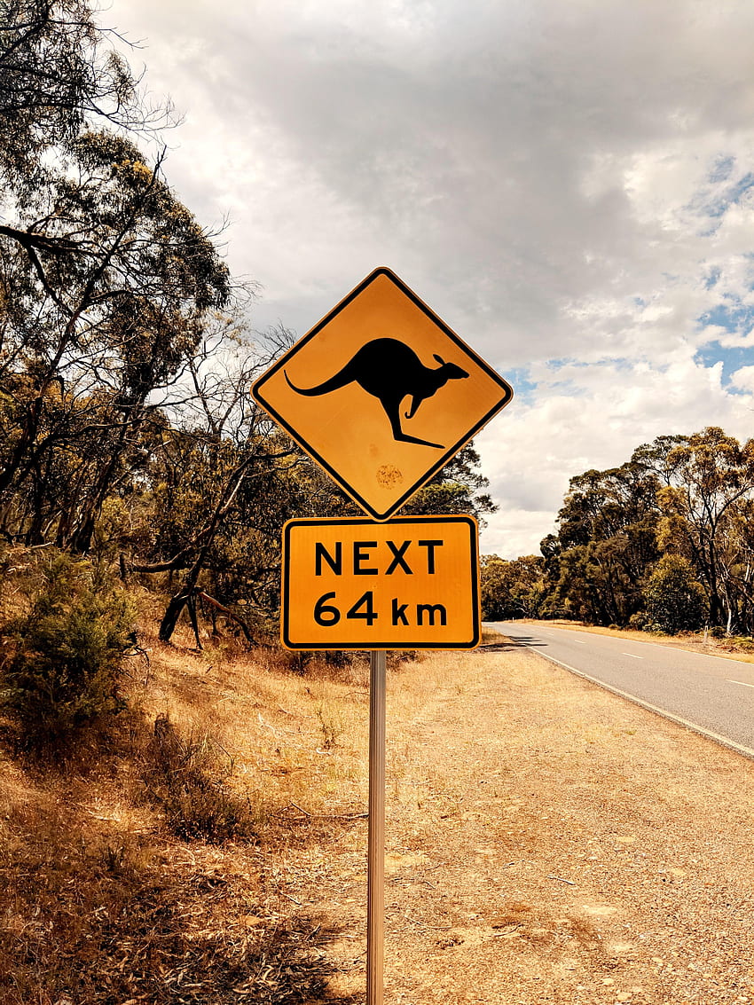 Kangaroo, Words, Road, Inscription, Sign HD phone wallpaper