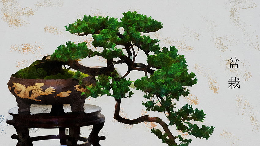 Artistic Bonsai Tree, with Bonsai in Japanese Full HD wallpaper