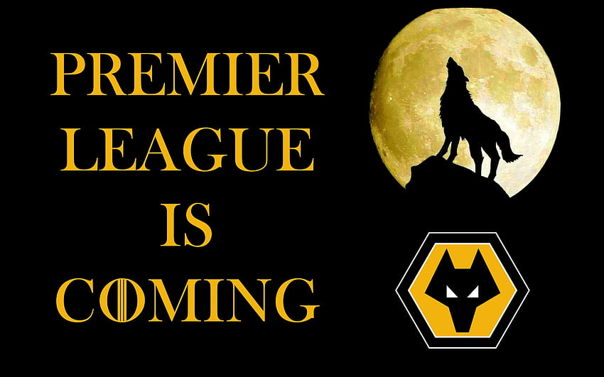 Premier League Is Coming, wolverhampton wanderers football club, english, W88, , wolves football club, wolf, wwfc, wolverhampton wanderers fc, wolves fc, adidas, gold and black screensaver, fc, football, molineux, wolverhampton, fwaw, out of darkness cometh light, wolves, soccer, old gold, england, the wolves, wanderers, premier league HD wallpaper