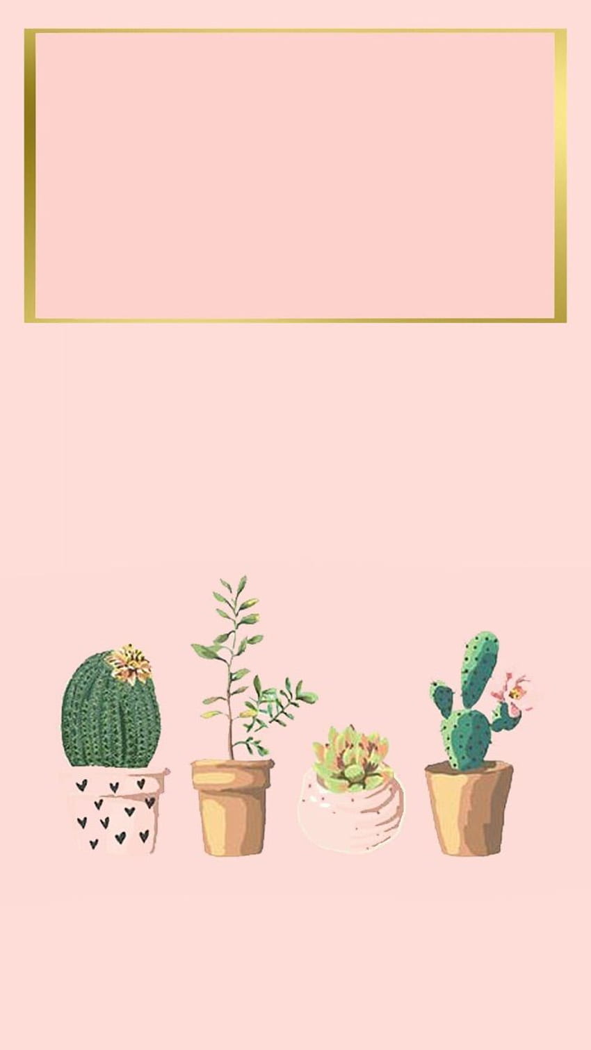 iPhone , latar belakang iPhone, sukulen, kaktus. wow, Layar Kunci Lucu wallpaper ponsel HD