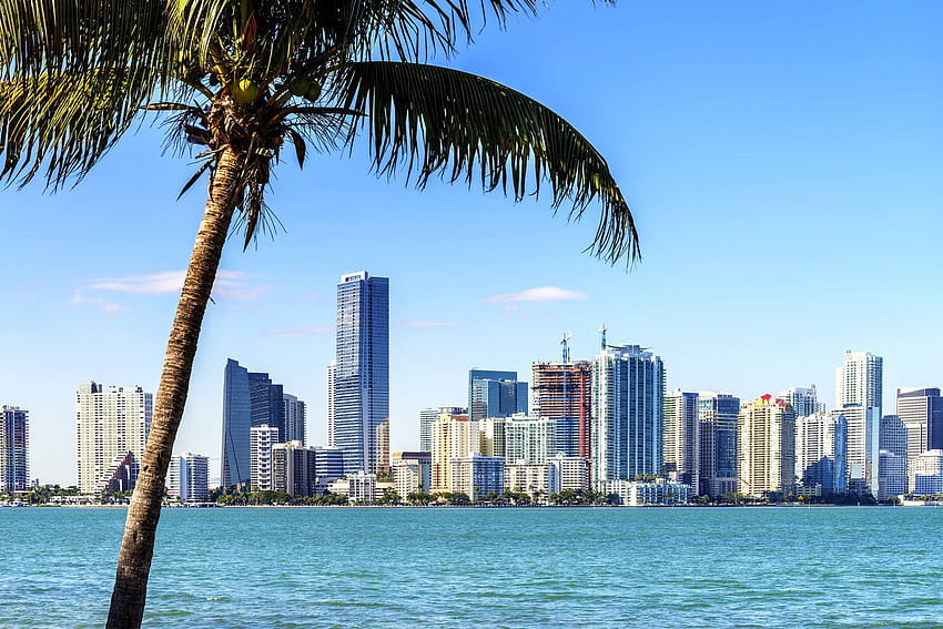 Cityscape . Skyline . Murals . Miami skyline, Moving to miami, Skyline HD wallpaper