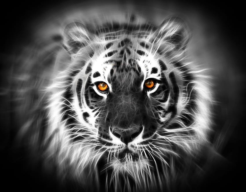 Macan Putih Siliwangi - Singa Allah, Harimau Sfondo HD