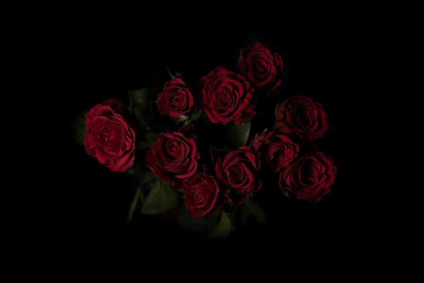 Kwiaty, Róże, Ciemne Tło, Bukiet Tapeta HD