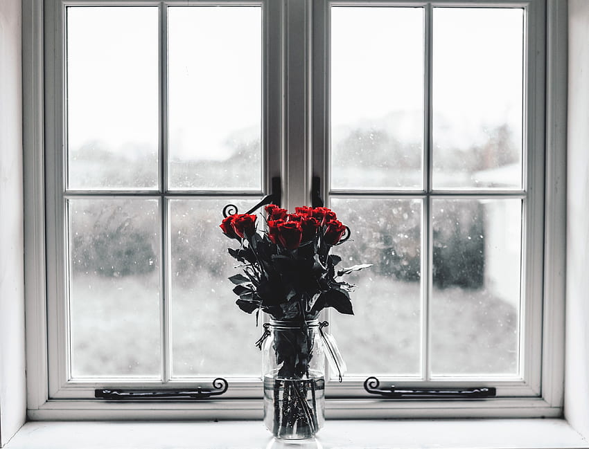 Fleurs, Roses, Bouquet, Fenêtre, Vase Fond d'écran HD
