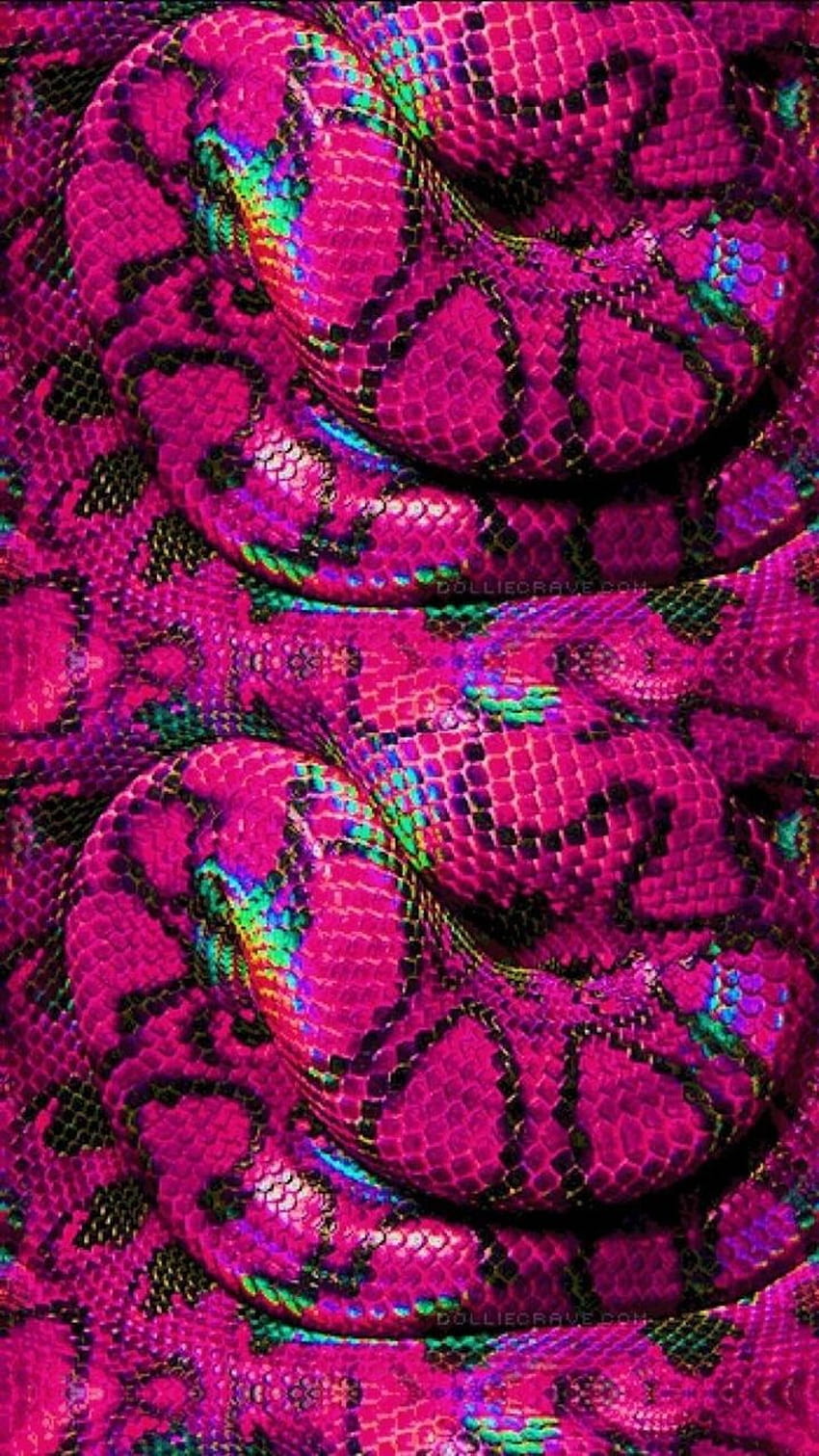 ホットピンクのヘビ。 ❤️それ、ピンクのヘビ皮 HD電話の壁紙