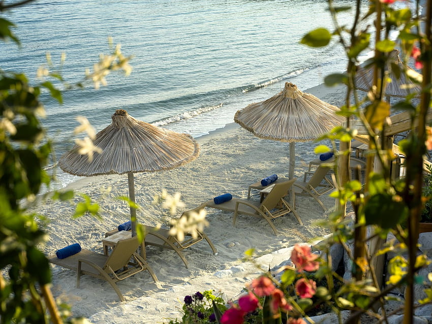 Strand, Lounge, Cheddar, Sand, Grafik, Entspannung, Urlaub, schön, ruhig, angenehm, Wasser, Meer, Meer, schön, kühl, Natur, Blumen HD-Hintergrundbild