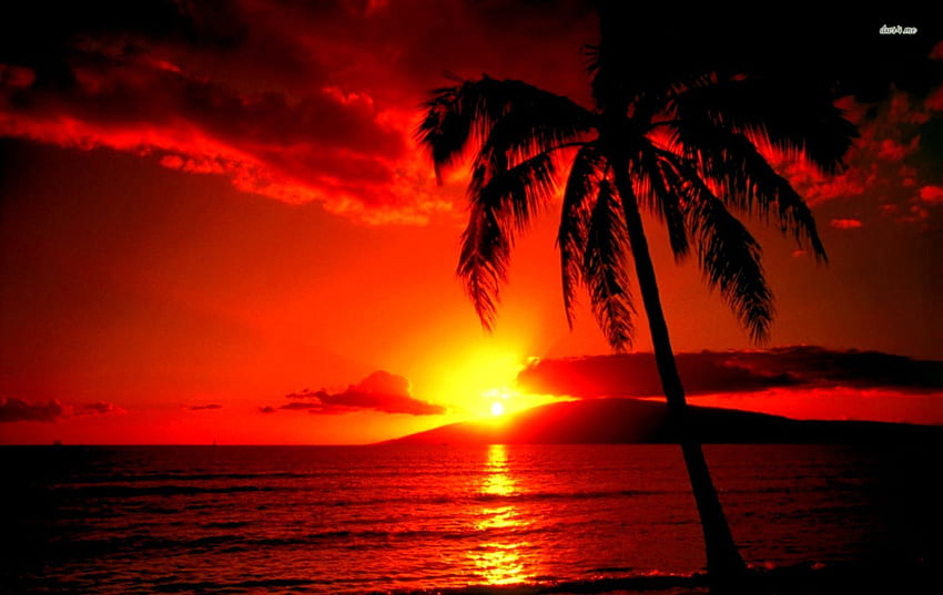 Hawaii-Sonnenuntergang, Hawaii-Strand-Sonnenuntergang HD-Hintergrundbild