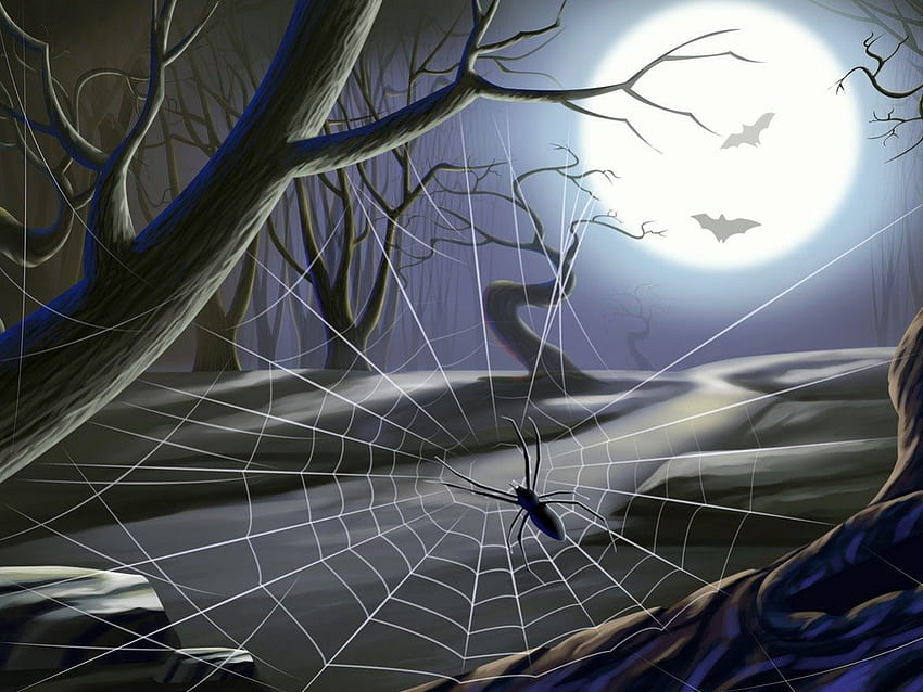 The Web, night, fall, spooky, spider, eight legs, dark, tree, moon, bug, autumn, web, 8 legs HD wallpaper