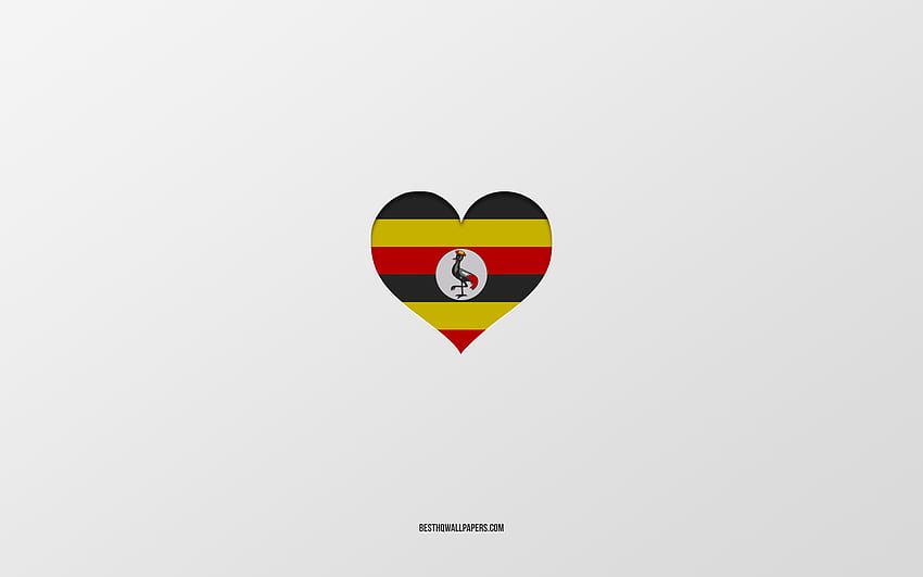 I Love Uganda, Africa countries, Uganda, gray background, Uganda flag heart, favorite country, Love Uganda for with resolution . High Quality HD wallpaper