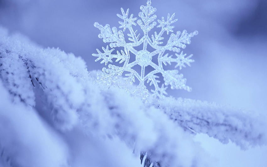 Winterschneeflocken, nette Schneeflocke HD-Hintergrundbild