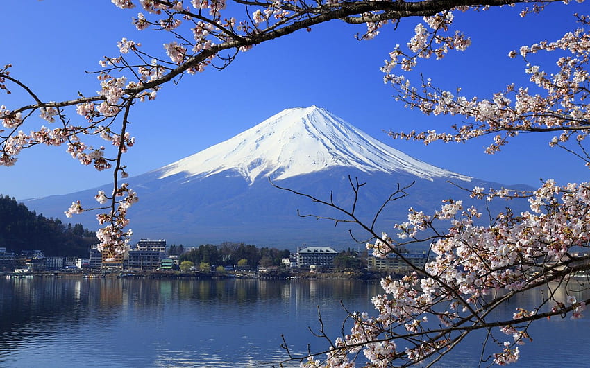 Montanha Fuji, Vistas do Monte. Fuji papel de parede HD
