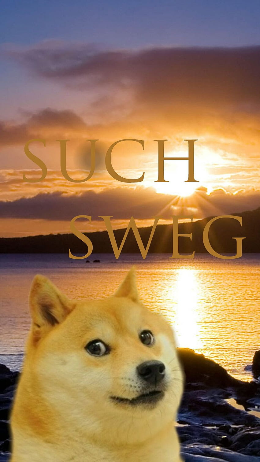 Meme I created for my frienda, Doge HD phone wallpaper | Pxfuel