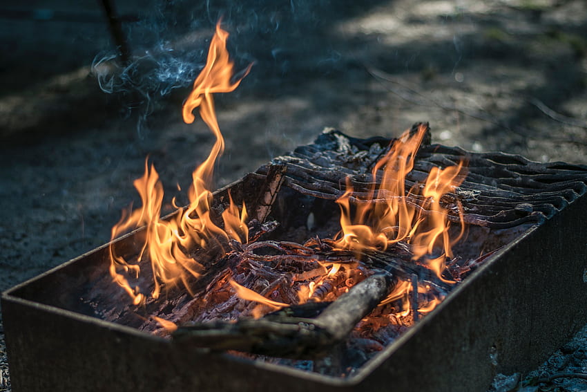 Fire, Bonfire, , , Firewood, Barbecue, B-B-Q HD wallpaper