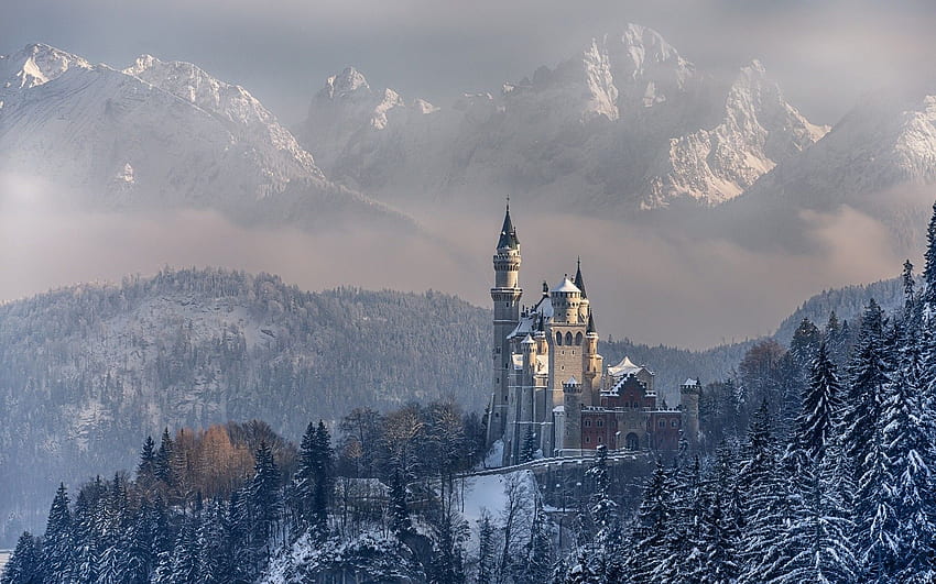 nature, Landscape, Mountain, Forest, Trees, Winter, Snow, Castle, Building, Germany / and Mobile Background HD wallpaper