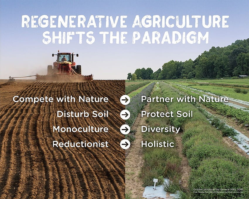 Regenerative Agriculture, Agronomy HD wallpaper