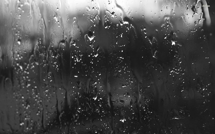 Rain, Black and White Rain City HD wallpaper