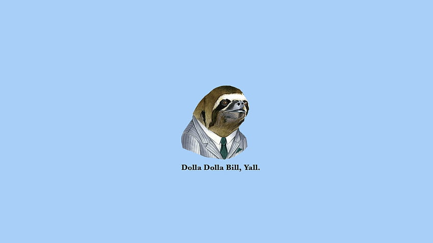 sloth dollar bills Best, Cute Sloth HD wallpaper