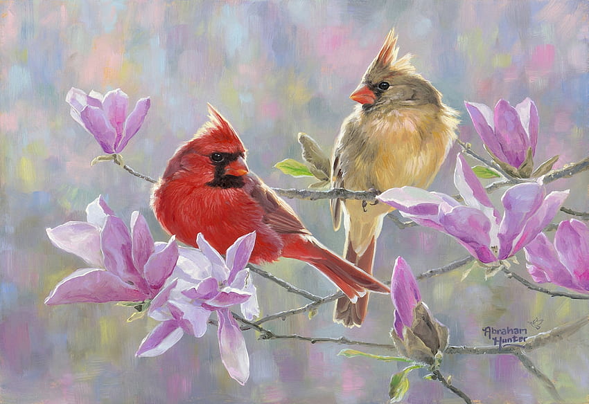 Magnolia Perch, obras de arte, pájaros, pintura, flores, primavera, cardenales fondo de pantalla