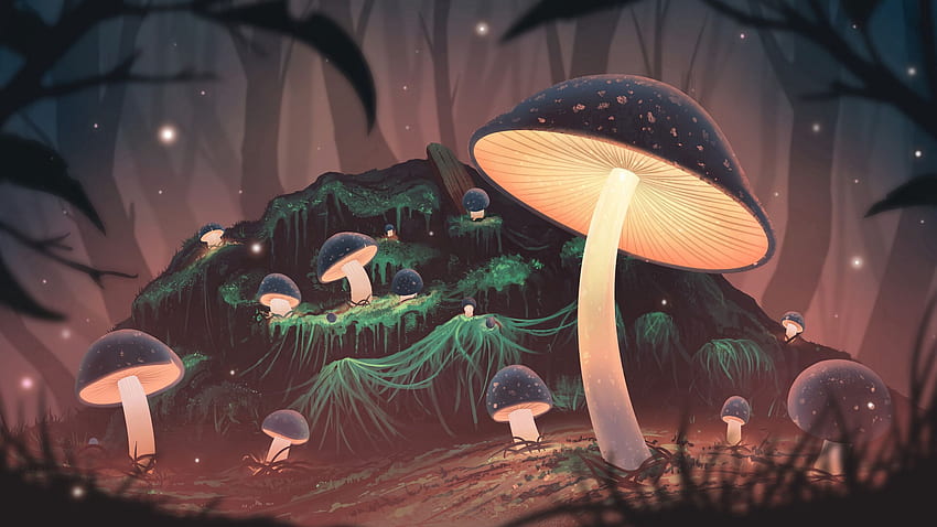 mushrooms, glow, light, forest, art 16:9 background HD wallpaper