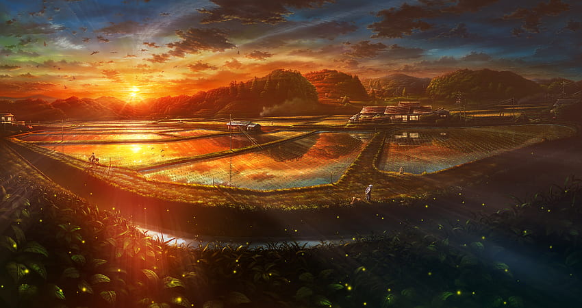 Herrlich landschaftlich, Berge, lieblich, Reisfelder, landschaftlich reizvoll HD-Hintergrundbild