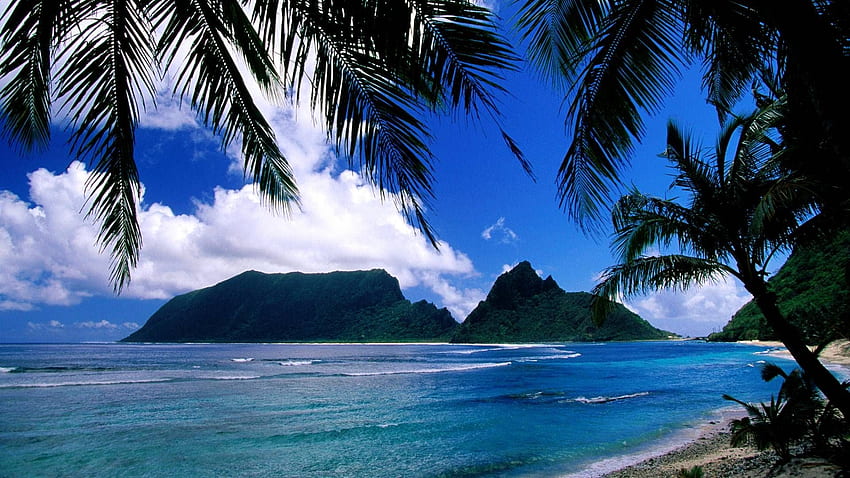 Amerikan Samoa Adası, ada, palmiye, bulutlar, ağaçlar, samoa, gökyüzü, doğa HD duvar kağıdı