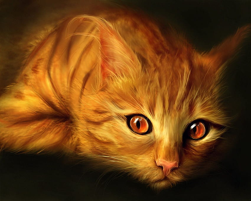 Beautiful ginger cat. Warrior cats, Ausgestopftes tier, Warrior cat HD ...