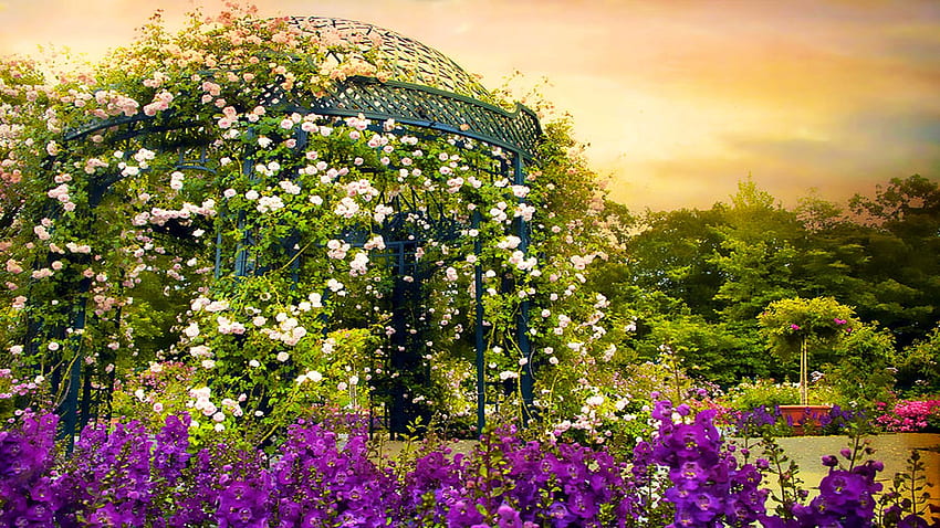 Rose Arbor at Sunset, New York Botanical Garden, рози, цветове, пейзаж, облаци, цветове, цветя, небе, САЩ HD тапет