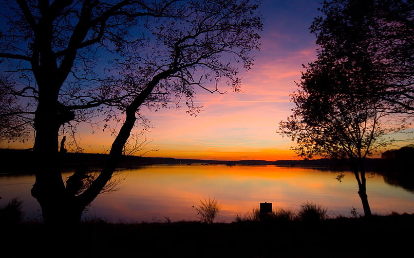 Nature, Trees, Sunset, Twilight, Lake, Dusk, Outlines HD wallpaper