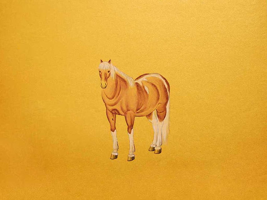 Koń, zwierzę, rysunek, kolor żółty Tapeta HD